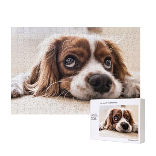 Schüchterner King Charles Spaniel 300-teiliges Puzzle, Für Kinder ab 9 Jahren Lernspielzeug-300 Teile 28X40cm von houhm