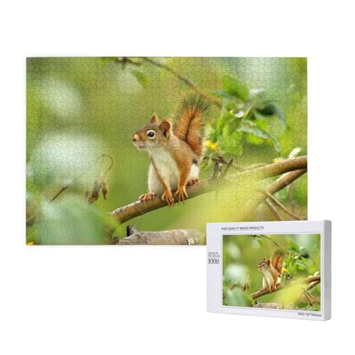 Schüchternes kleines Eichhörnchen Puzzle 1000 Teile für Erwachsene, Lernspiele, Heimdekorationspuzzle – Denksport-Puzzle 1000 Teile von houhm