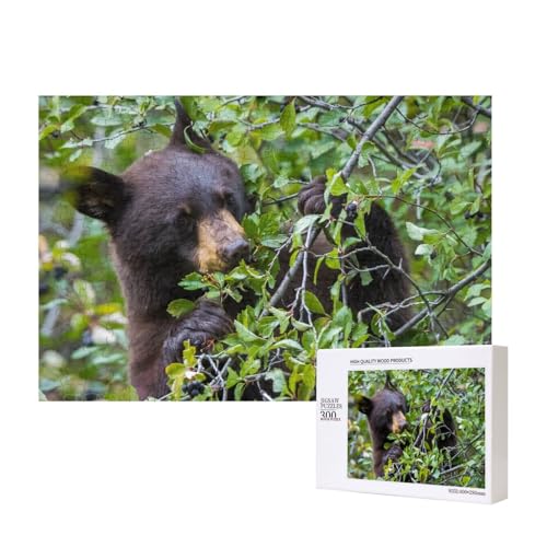 Schwarzbär frisst Wildfrüchte 300-teiliges Puzzle, Für Kinder ab 9 Jahren Lernspielzeug-300 Teile 28X40cm von houhm