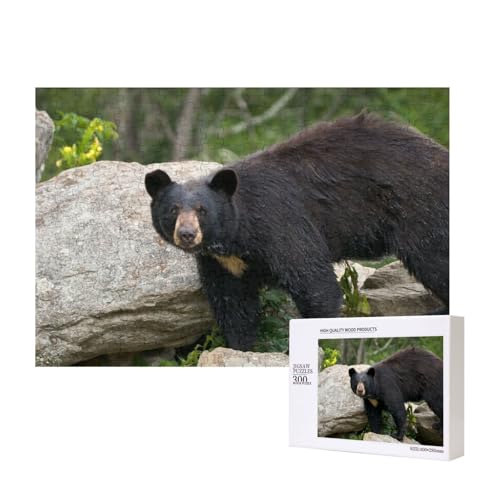 Schwarzbär mit nassem Fell 300-teiliges Puzzle, Für Kinder ab 9 Jahren Lernspielzeug-300 Teile 28X40cm von houhm