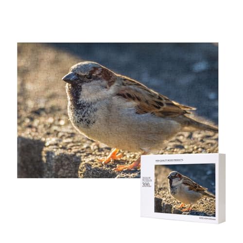 Spatz auf den Steinstufen 300-teiliges Puzzle, Für Kinder ab 9 Jahren Lernspielzeug-300 Teile 28X40cm von houhm