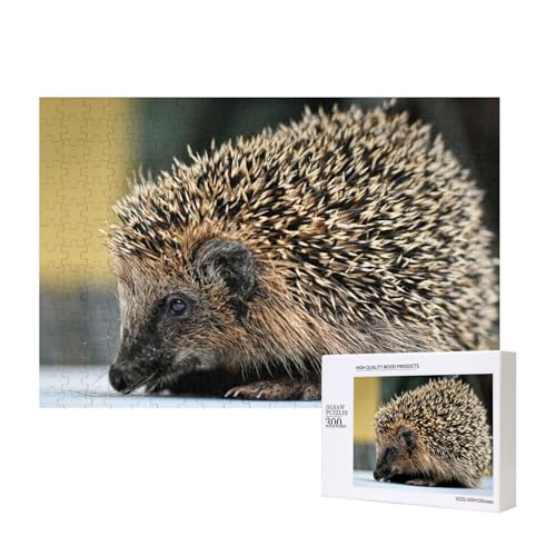 Stacheliger Igel 300-teiliges Puzzle, Für Kinder ab 9 Jahren Lernspielzeug-300 Teile 28X40cm von houhm