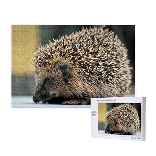 Stacheliger Igel Puzzle 1000 Teile für Erwachsene, Lernspiele, Heimdekorationspuzzle – Denksport-Puzzle 1000 Teile von houhm