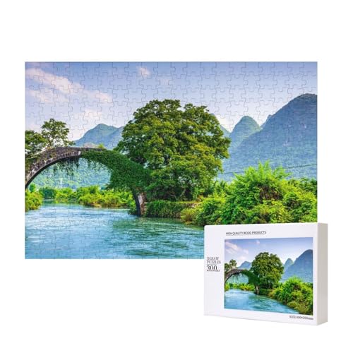 Steinbogenbrücke und Grünpflanzen 300-teiliges Puzzle, Für Kinder ab 9 Jahren Lernspielzeug-300 Teile 28X40cm von houhm