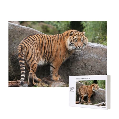 Steinstarker Tiger 300-teiliges Puzzle, Für Kinder ab 9 Jahren Lernspielzeug-300 Teile 28X40cm von houhm