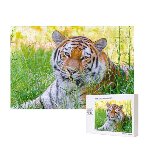 Stirnrunzelnder und kaltäugiger Tiger 300-teiliges Puzzle, Für Kinder ab 9 Jahren Lernspielzeug-300 Teile 28X40cm von houhm