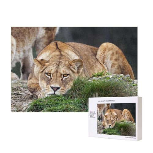 Stolze Löwin 300-teiliges Puzzle, Für Kinder ab 9 Jahren Lernspielzeug-300 Teile 28X40cm von houhm