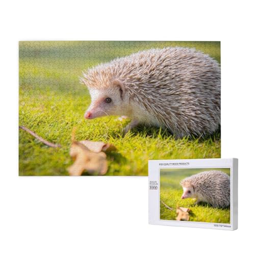 Süßer Igel Ruhig Puzzle 1000 Teile für Erwachsene, Lernspiele, Heimdekorationspuzzle – Denksport-Puzzle 1000 Teile von houhm