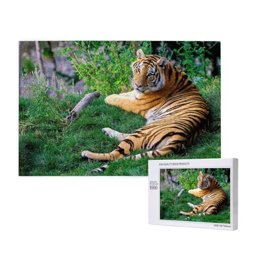 Träger Tiger Puzzle 1000 Teile für Erwachsene, Lernspiele, Heimdekorationspuzzle – Denksport-Puzzle 1000 Teile von houhm