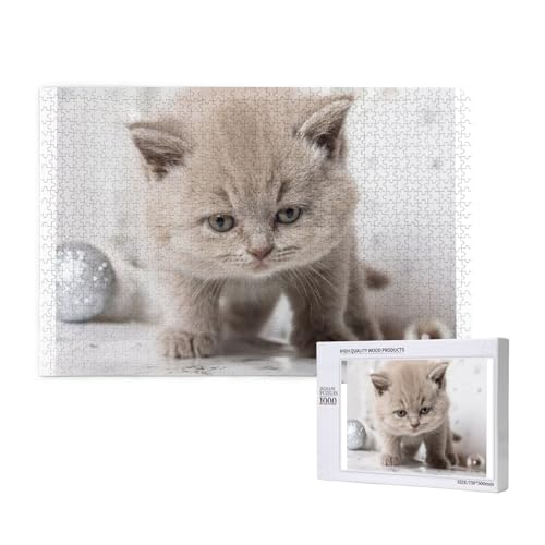 Traurige Katze mit rundem Gesicht Puzzle 1000 Teile für Erwachsene, Lernspiele, Heimdekorationspuzzle – Denksport-Puzzle 1000 Teile von houhm