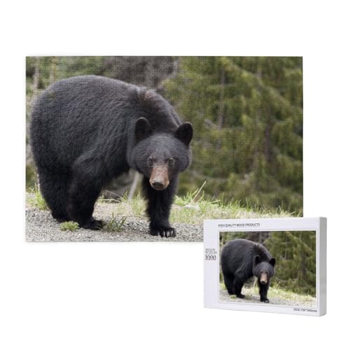 Vorsichtiger Schwarzbär Puzzle 1000 Teile für Erwachsene, Lernspiele, Heimdekorationspuzzle – Denksport-Puzzle 1000 Teile von houhm