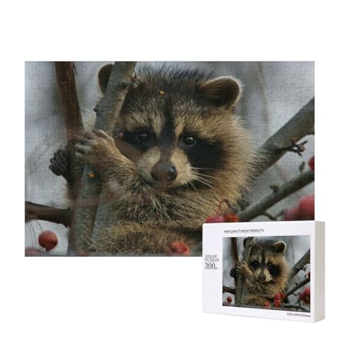 Waschbär pflückt Obst 300-teiliges Puzzle, Für Kinder ab 9 Jahren Lernspielzeug-300 Teile 28X40cm von houhm