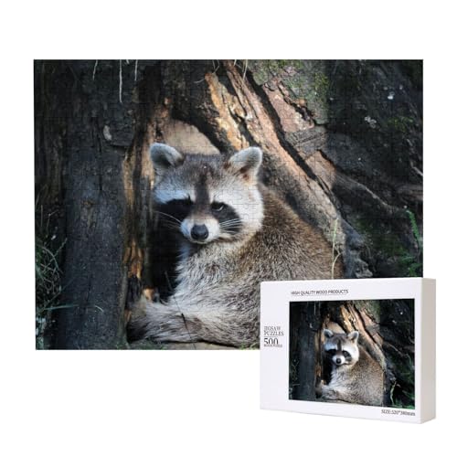 Waschbär unter einem Baum Puzzle für 500 Personen, für Erwachsene und Kinder ab 12 Jahren, anspruchsvolles Puzzle, Puzzlegröße 38 x 52 cm von houhm