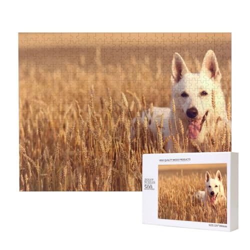 Weißer Hund im Weizenfeld Puzzle für 500 Personen, für Erwachsene und Kinder ab 12 Jahren, anspruchsvolles Puzzle, Puzzlegröße 38 x 52 cm von houhm