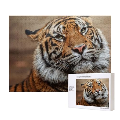 Würdiger Tiger Puzzle für 500 Personen, für Erwachsene und Kinder ab 12 Jahren, anspruchsvolles Puzzle, Puzzlegröße 38 x 52 cm von houhm