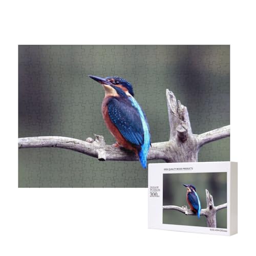 Zierlicher Eisvogel 300-teiliges Puzzle, Für Kinder ab 9 Jahren Lernspielzeug-300 Teile 28X40cm von houhm