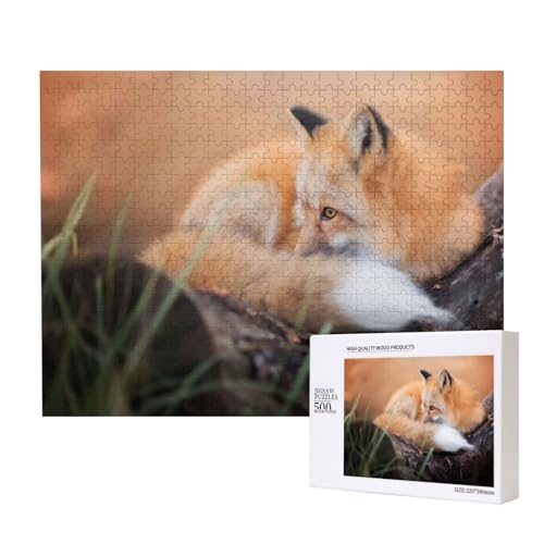 Zusammengerollter Fuchs Puzzle für 500 Personen, für Erwachsene und Kinder ab 12 Jahren, anspruchsvolles Puzzle, Puzzlegröße 38 x 52 cm von houhm