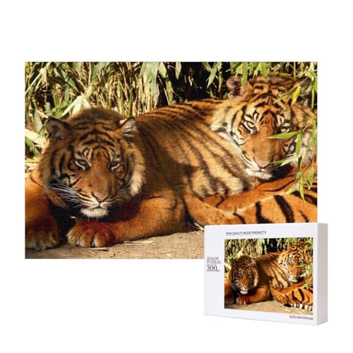 Zwei Tiger kuscheln 300-teiliges Puzzle, Für Kinder ab 9 Jahren Lernspielzeug-300 Teile 28X40cm von houhm