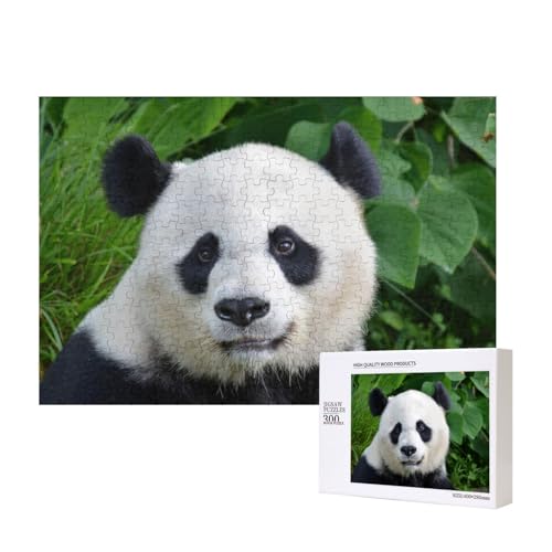 Zwei pelzige Schwarzohrpandas 300-teiliges Puzzle, Für Kinder ab 9 Jahren Lernspielzeug-300 Teile 28X40cm von houhm