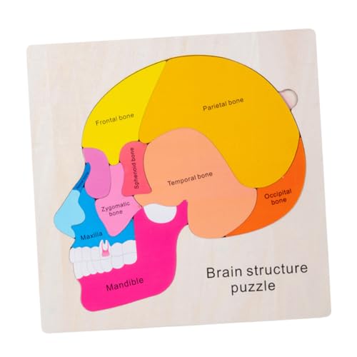 ibasenice 1 Satz Gehirnstruktur-Puzzle Kinder holzpuzzle Montessori-Rätsel Anatomie-Rätsel Menschlicher Körper Puzzle für Kinder Körper-Peg-Puzzle Holzpuzzles für Kinder Spielzeug für Kinder von ibasenice