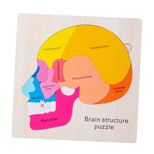 ibasenice 1 Satz Gehirnstruktur-Puzzle holzpuzzle Erkenntnisrätsel Gehirne für, Gehirnstrukturspielzeug Vorschulspielzeug Puzzlespielzeug Holzpuzzles für Holzspielzeug von ibasenice