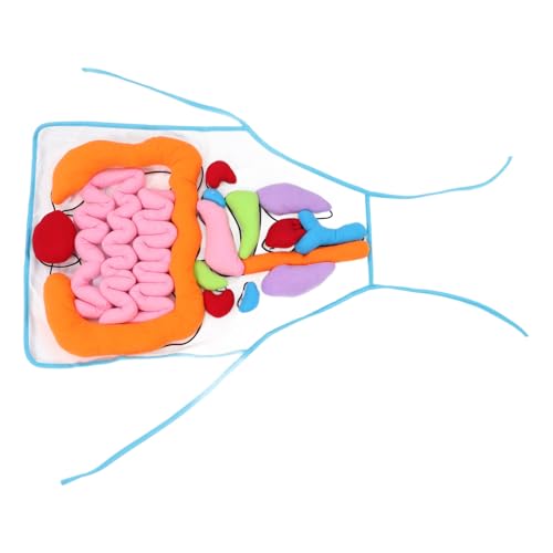 ibasenice 1 Satz Orgelschürze Menschliche Organe Menschliches Kognitives Werkzeug Arztkoffer Für 3-5 Personen Anatomie Schürze Vorschulorgane Lernen Prop Arztschürze Kinderschürzen Polyester von ibasenice