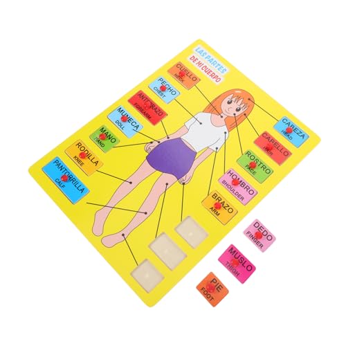 ibasenice 1 Satz Spanisches Rätsel kinderpuzzle Holzpuzzle Spielen Rätsel des menschlichen Körpers Körperteile Puzzle Puzzlematte Spielzeug Hilfsmittel für den Vorschulunterricht Lehrmittel von ibasenice