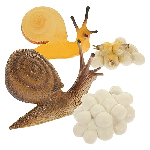 ibasenice 1 Satz Wachstumszyklus Der Schnecke Tierfiguren Lebenszykluszahlen Lebenszyklus Spielzeug Kaulquappen Herzmodell Lebenszyklusfiguren Gummifrösche Füllstoff Kleinkind PVC Miniatur von ibasenice