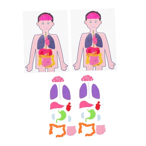 ibasenice 2 Sätze Kognitive Organe Modelle DIY Lernspielzeug für Pädagogisches Anatomisches Bastelset Fördert Kreativität Konzentration Hand Auge koordination ibasenice 2 Sätze Kognitive Organe Modelle DIY Lernspielzeug für Pädagogisches Anatomisches Bastelset Fördert Kreativität Konzentration Hand Auge koordination von ibasenice