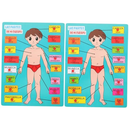 ibasenice 2 Sätze Spanisches Rätsel Puzzle-Spielzeug für den menschlichen Körper Anatomie-Puzzle Körperteile Puzzle Holz Puzzle Spielzeug Spielzeuge Kinderspielzeug Kindererkennungsspielzeug von ibasenice