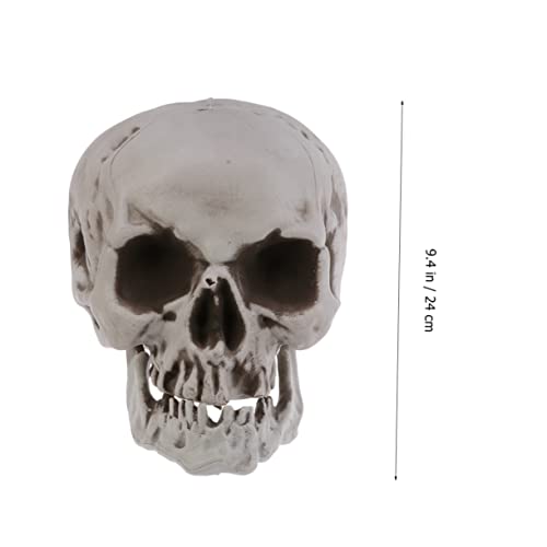 ibasenice 3st Halloween-schädel-zubehör Verängstigt Kopfknochenmodell Gefälschte Menschliche Skelett-Requisiten Mini Schädel des Menschlichen Kopfes Gespenstisch Tag Replik Cosplay von ibasenice