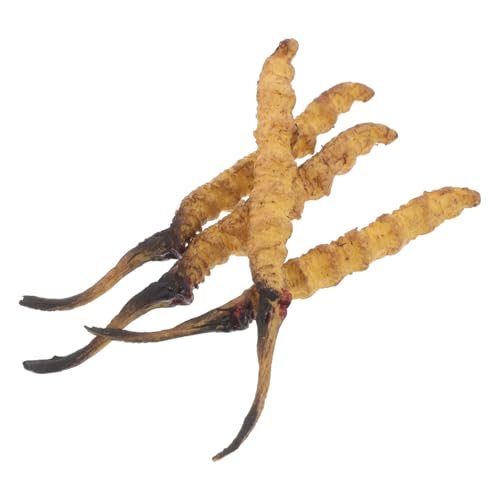 ibasenice 4 Stück Cordyceps -Modell Medizinische Spielzeugartikel Modell Der Chinesischen Medizin Arztkoffer Arzt Rollenspiel Requisiten Arztzubehör Plastik von ibasenice