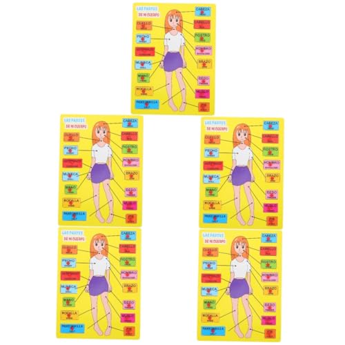 ibasenice 5 Sätze Spanisches Rätsel Puzzle des menschlichen Körpers interaktiver menschlicher kinderpuzzle Holzpuzzle Kinderspielzeug Puzzlematte Lernspielzeug passendes Spielzeug von ibasenice