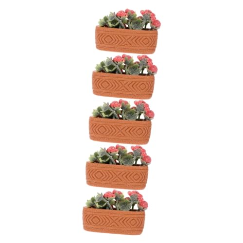 ibasenice 5 Stück Mini Topf Grünpflanzen Kleiner Blumentopf Puppenhaus Miniaturen Mini Spielzeug Miniatur Pflanze Winzige Bonsai Mini Topfblume Miniatur Blumenornament von ibasenice