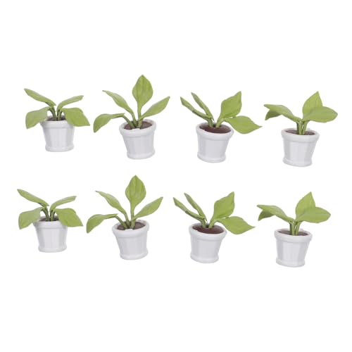 ibasenice 8 Stück Miniatur Topfpflanzenszene Miniatur Topfpflanzenmodell Hof Ornamente Ton Topfpflanzen Mini Topfpflanzen Simulationspflanze Bonsai Mini Szene Basteln ibasenice 8 Stück Miniatur Topfpflanzenszene Miniatur Topfpflanzenmodell Hof Ornamente Ton Topfpflanzen Mini Topfpflanzen Simulationspflanze Bonsai Mini Szene Basteln von ibasenice