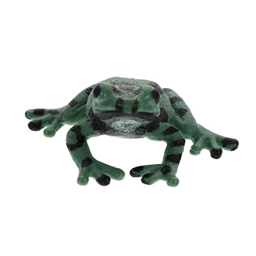 ibasenice Frosch-Modell kindererziehung aufklärung verkleidung kalanchoe geburtstagsmitgebsl Decor Figur Froschmodell Amphibie deko Bildungsbedarf Mini-Modell Plastik Green von ibasenice