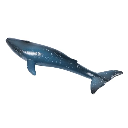 ibasenice Realistisches Kleines Blauwalmodell aus Stabilem Material Lebensecht Gestaltete Meeresfigur für Dekoration Lernspielzeug und Partyspielzeug ibasenice Realistisches Kleines Blauwalmodell aus Stabilem Material Lebensecht Gestaltete Meeresfigur für Dekoration Lernspielzeug und Partyspielzeug von ibasenice