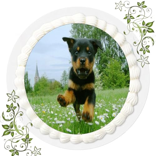 FONDANT Tortenbild, Zuckerbild mit Motiv, Essbares Foto für Torten, Tortenbild, Tortenaufleger Ø 20cm FONDANT Hunde Hund Nr. 4 von ich