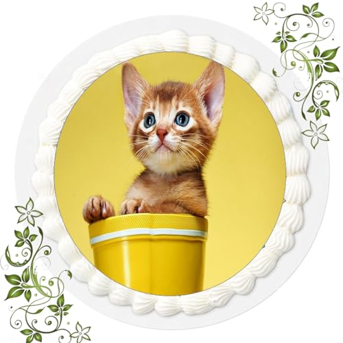 FONDANT Tortenbild, Zuckerbild mit Motiv, Essbares Foto für Torten, Tortenbild, Tortenaufleger Ø 20cm FONDANT Katzen Nr. 32 von ich