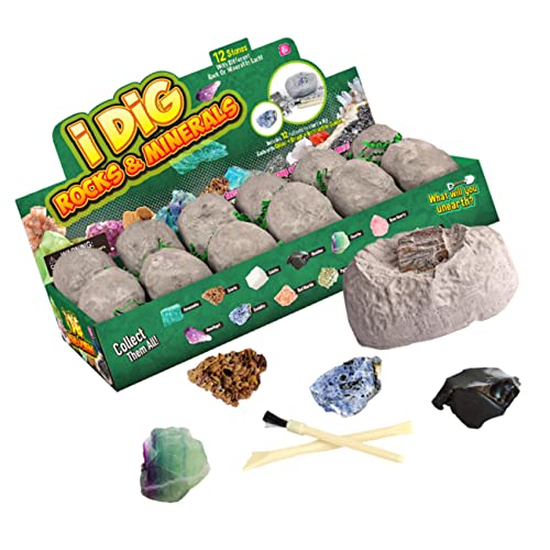 ifundom 1 Satz DIY Archäo Logische Ausgrabung Spielzeug Für Spielset Für Kinder Entdeckung Steinproben Spielzeug Geoden Puppenhaus-mikroskop Archäologie-Kits Für Kinder Mineral Plastik von ifundom