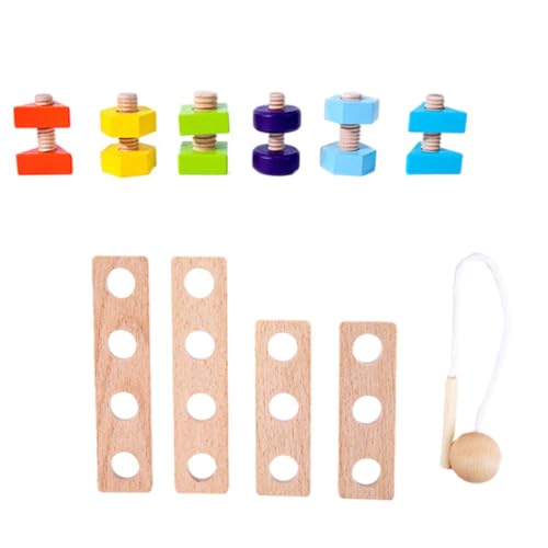 ifundom 1 Satz Nuss basteln Puzzle kindererziehung aufklärung kinderpuzzle installieren Bildungsspielzeug Holzspielzeug hölzern Colorful von ifundom