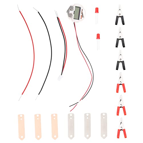 ifundom 1 Satz Obst-Experiment Experimente mit Stammaktivitäten Tobots Spielzeug DIY Kinder experimente Experiment Kinder Batterien Spielzeuge Batteriewissenschaftliches Spielzeug Metall von ifundom