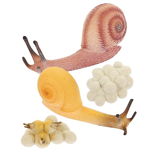 ifundom 1 Satz Wachstumszyklus Der Schnecke Mikrospielzeug Schneckenspielzeug Simulationsschneckendekor Lebenszyklusfiguren Lebensechte Schneckenlernmodelle Lernspielzeug Für Kinder PVC von ifundom