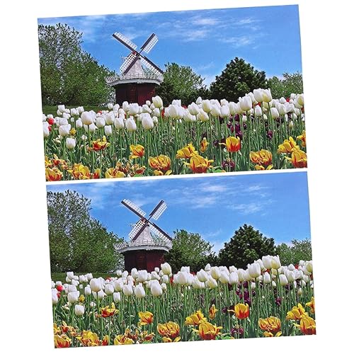 ifundom 2000 Teile 1 Erwachsene Puzzle Modernes Tulpenpuzzle Papierpuzzle Landschaft Lernpuzzle Windmühle Erwachsenenpuzzle von ifundom