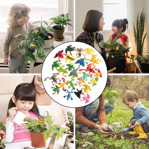 ifundom 24 Stück Teiliges Realistische Mini Frosch Figuren für Bunte Tiermodelle zum Lernen und Dekorieren von Aquarium Garten und Party ifundom 24 Stück Teiliges Realistische Mini Frosch Figuren für Bunte Tiermodelle zum Lernen und Dekorieren von Aquarium Garten und Party von ifundom