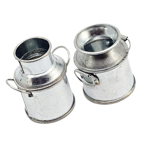 ifundom 2St Miniatur-Garteneimer Krüge Nuss Wasserflaschen aus Milchkarton Mini-Krug Container bastelset basteln für puppenhaus Mini-Blumenkübel Mini-Hausmodelle Eisen Silver von ifundom