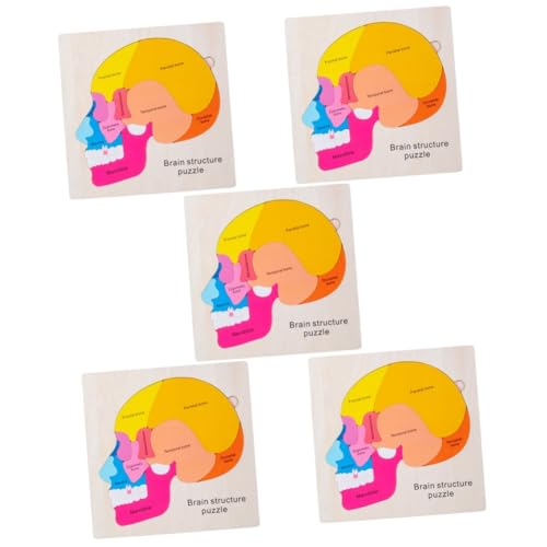 ifundom 5 Sets Gehirnstruktur Puzzle Menschlicher Körper Puzzle Montessori Puzzles Anatomie Puzzle Lernen Menschlicher Körper Spielzeug Menschliches Gehirn Bodenpuzzle Gehirn von ifundom