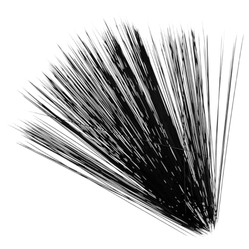 ifundom Simulation Katzen Schnurrhaare Schwarz ca Realistische Leichte Bastelmaterialien für Stofftiere Filztier Schnurrhaare DIY Zubehör für Puppen und Plüschtiere ifundom Simulation Katzen Schnurrhaare Schwarz ca Realistische Leichte Bastelmaterialien für Stofftiere Filztier Schnurrhaare DIY Zubehör für Puppen und Plüschtiere von ifundom