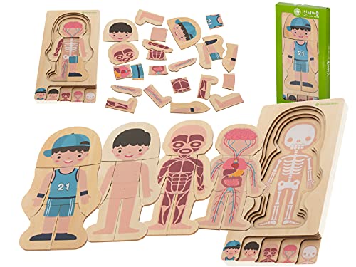 Montessori Holzpuzzle Aufbau Körper Anatomien Mensch Spielbuch Kinder Wissenschaft Biologie 28 Teile menschliches Geheimnis Körper Körper Körper Muskel Muskel Inner Skelett Junge Mädchen (Jungen) Montessori Holzpuzzle Aufbau Körper Anatomien Mensch Spielbuch Kinder Wissenschaft Biologie 28 Teile menschliches Geheimnis Körper Körper Körper Muskel Muskel Inner Skelett Junge Mädchen (Jungen) von ikonka