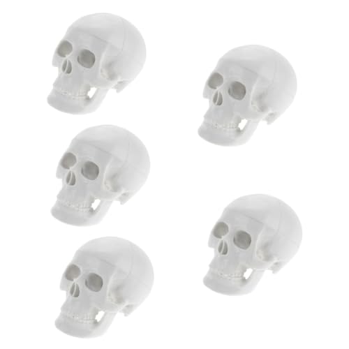 5St Schädelmodell anatomischer Kopfknochen Schädelfiguren Schädelknochenmodell Kopfknochenmodell Kopfmodell Anatomisches Modell Halloween-Party-Dekor simulierter Schädel PVC Weiß iplusmile von iplusmile